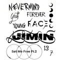 Jimin-Inspired FACE Vinyl Decal Set