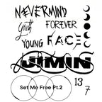 Jimin-Inspired FACE Vinyl Decal Set